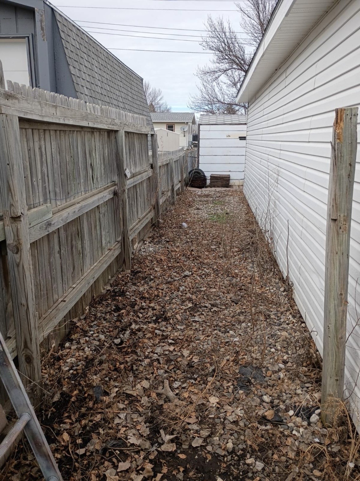 After yard cleanup by Dakota Cleanout