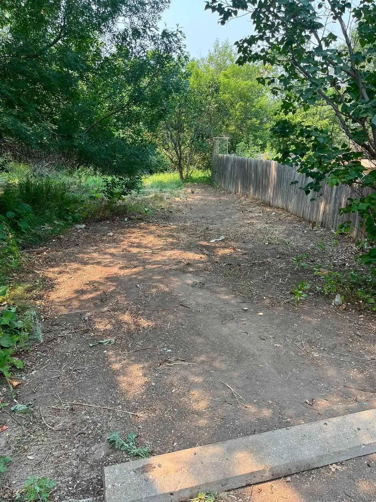 Overgrown access path after Dakota Cleanout work