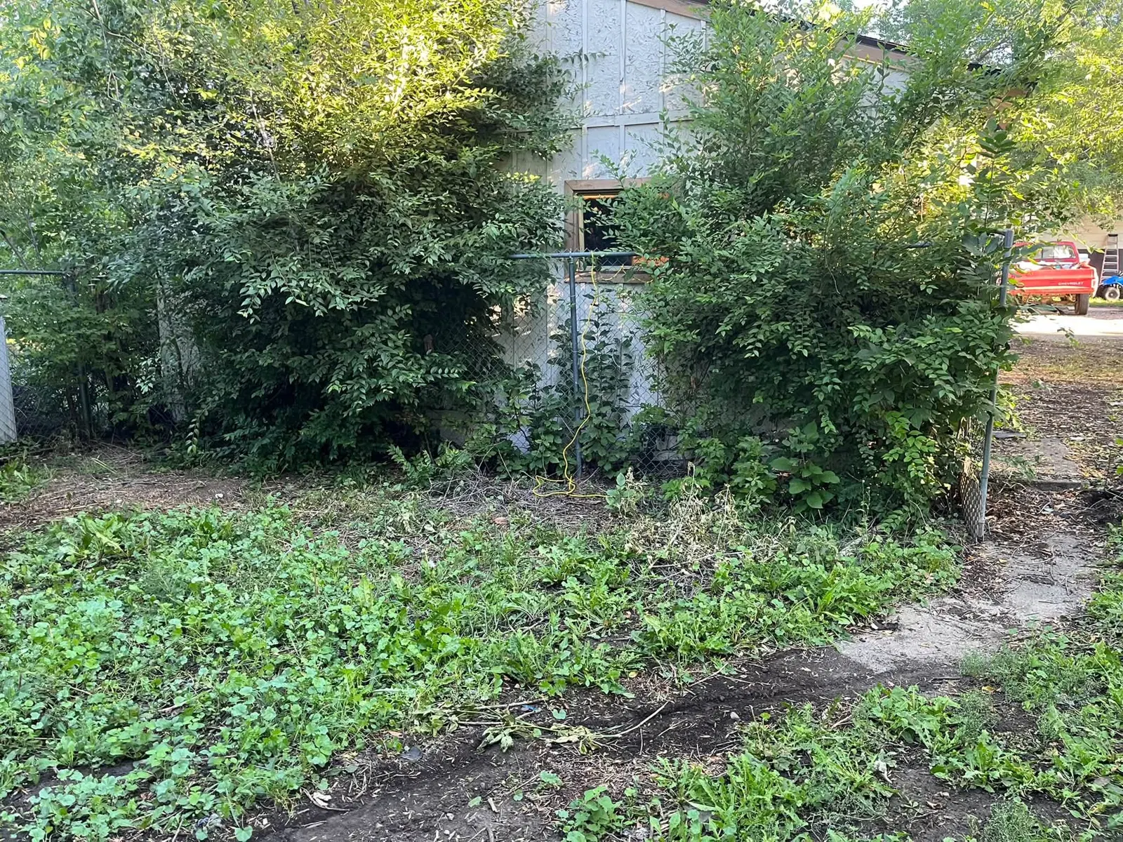 Tree and brush work before Dakota Cleanout work